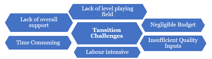 TransitionChallenges