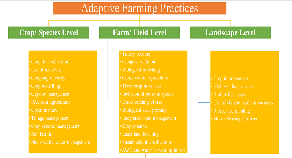 AdaptiveAgriPractices