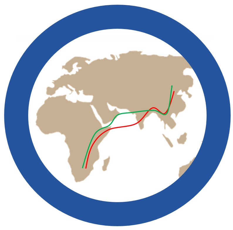 Amur Falcon Migration