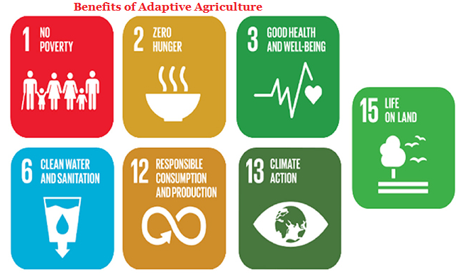 BenefitsOfAdaptiveAgri