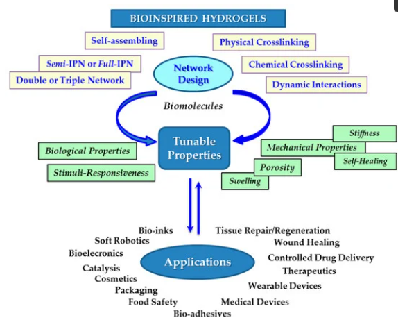 BioinspiredHydrogels