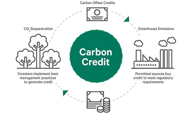 credit cycle