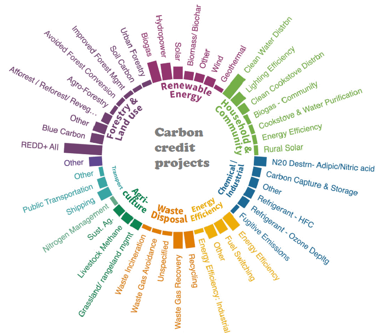 Carbon projects