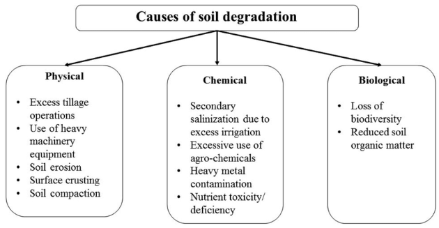 SoilDegradation