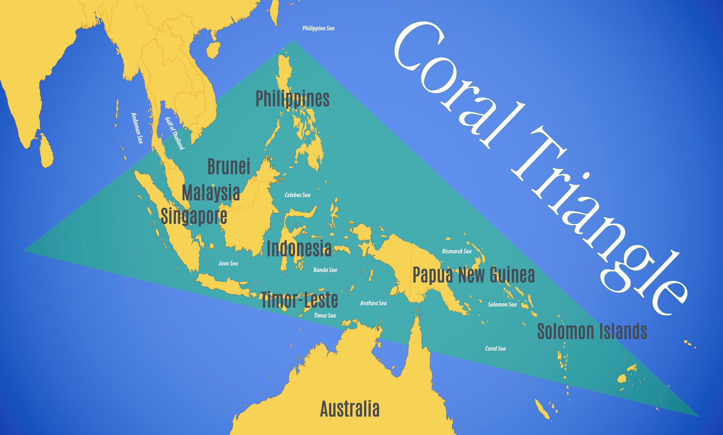 Coral Triangle 