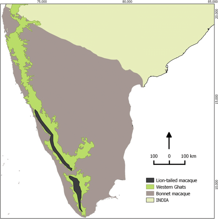 DistributionofLionTailedMacaque