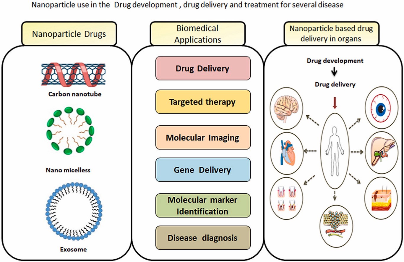 Drug delivery using polymeric nanoparticles