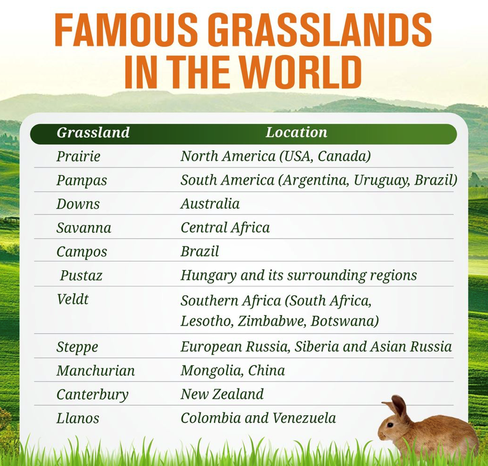 FamousGrasslands