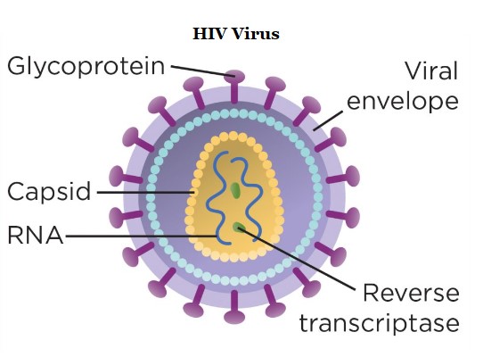 HIV