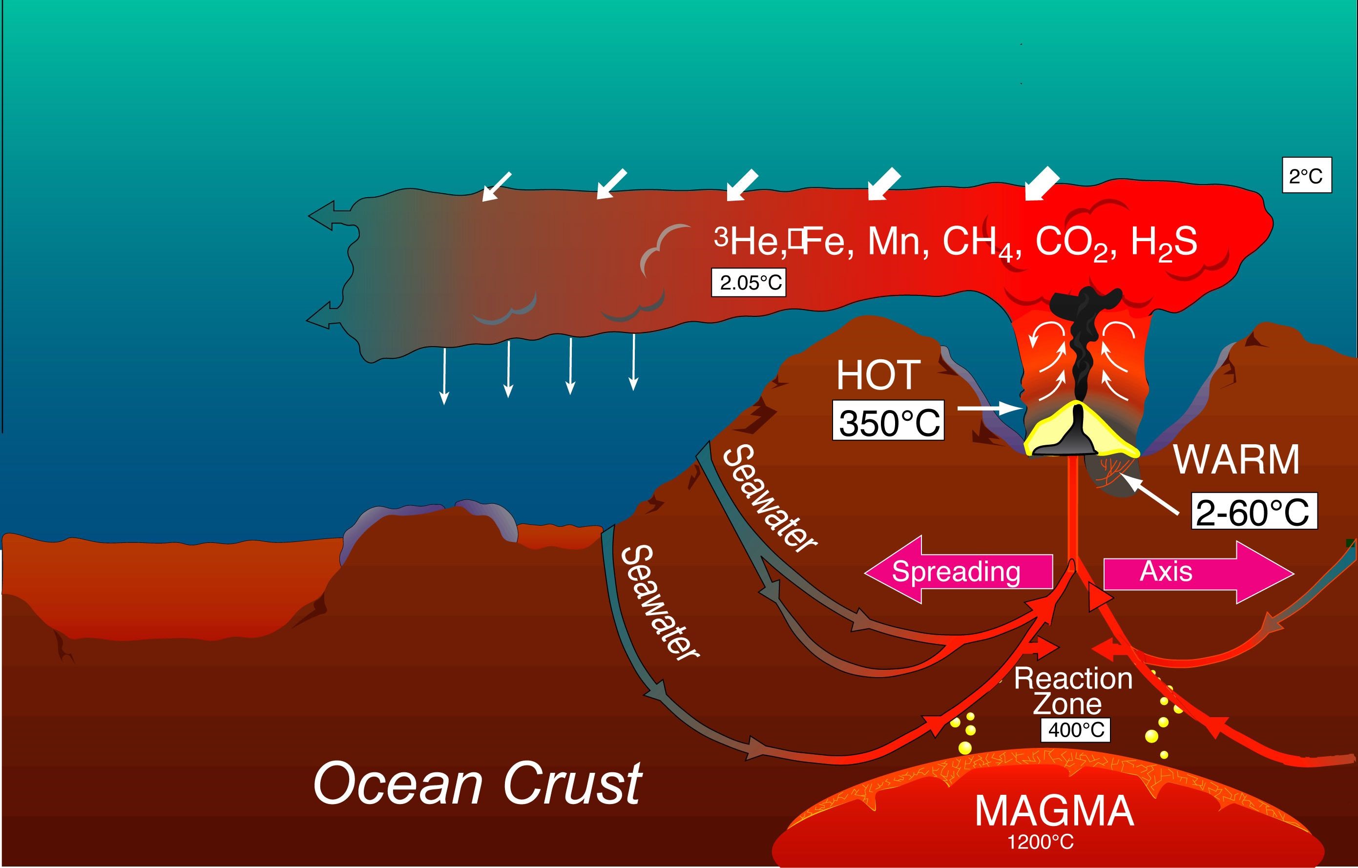 Hydrothermal Vents