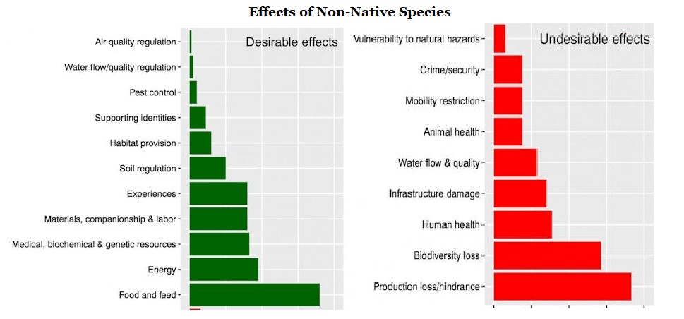 invasive species