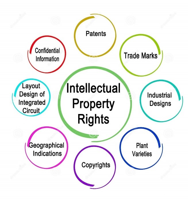 IP rights 