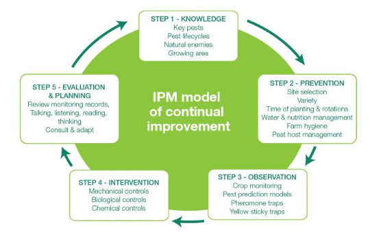 IPM