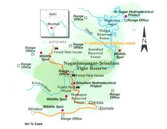 Nagarajunasagar Srisailam Tiger Reserve (NSTR) 