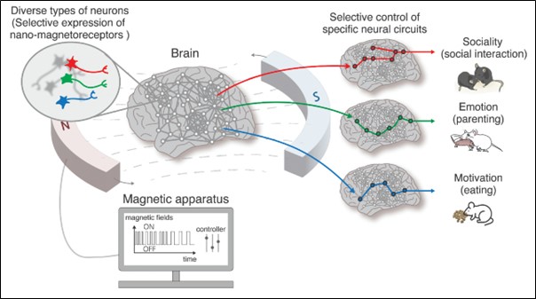 Nano-Mind Technology