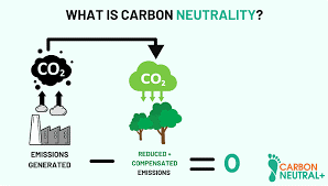 net zero