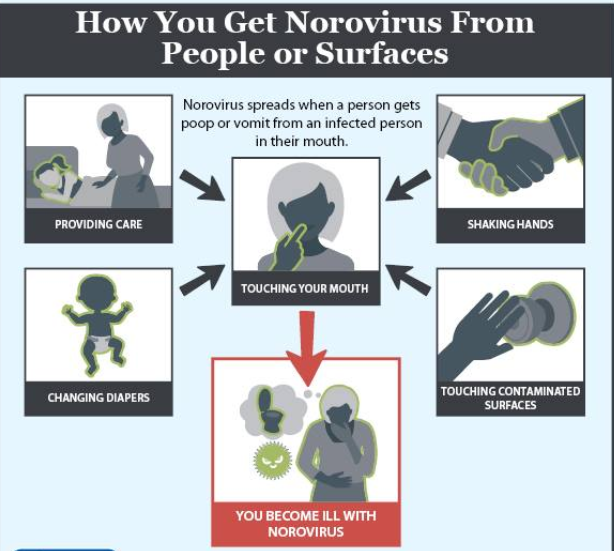 Norovirus