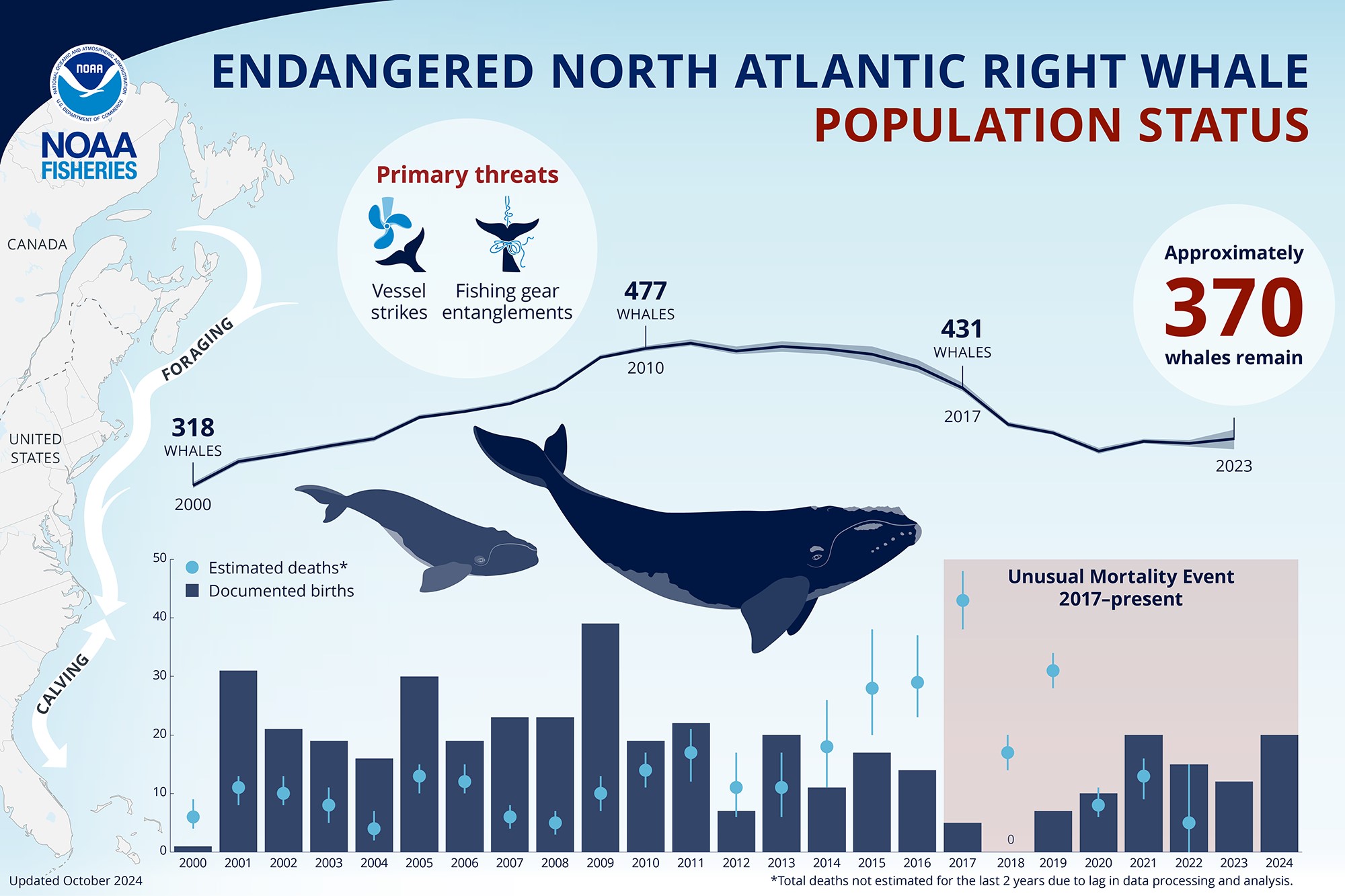 North-atlantic-right-whale