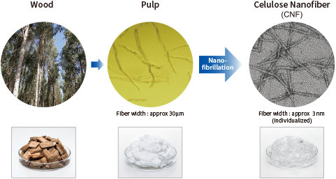 Cellulose