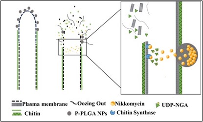 Porous composite xerogel