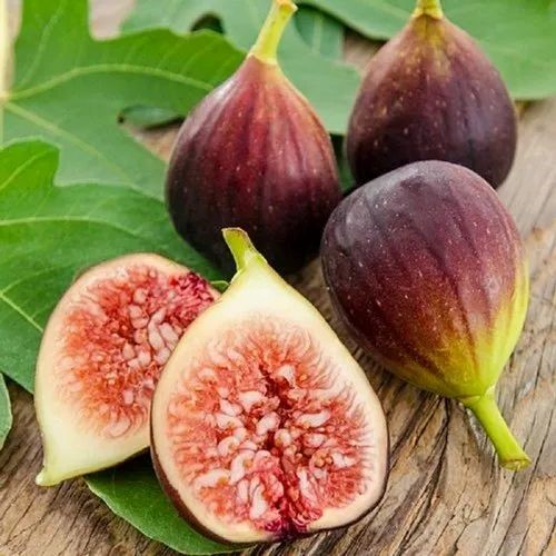 Purandar Figs