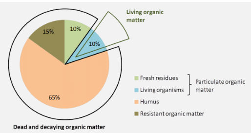 SoilOrganicmatter