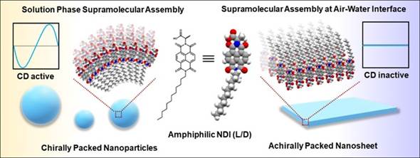 SupramolecularAssembly