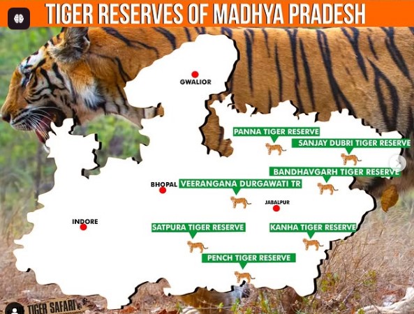 Tiger reserves in MP