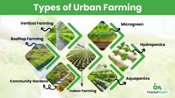 urban farming