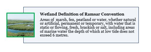 Wetland Definition of Ramsar