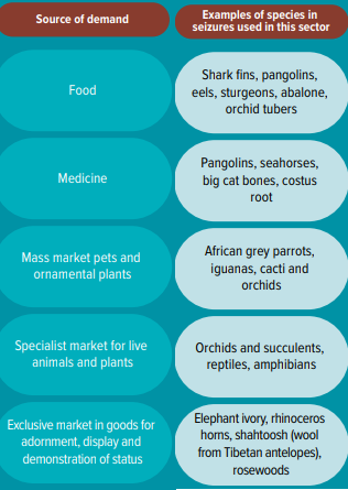 WildlifeTraffickingReason